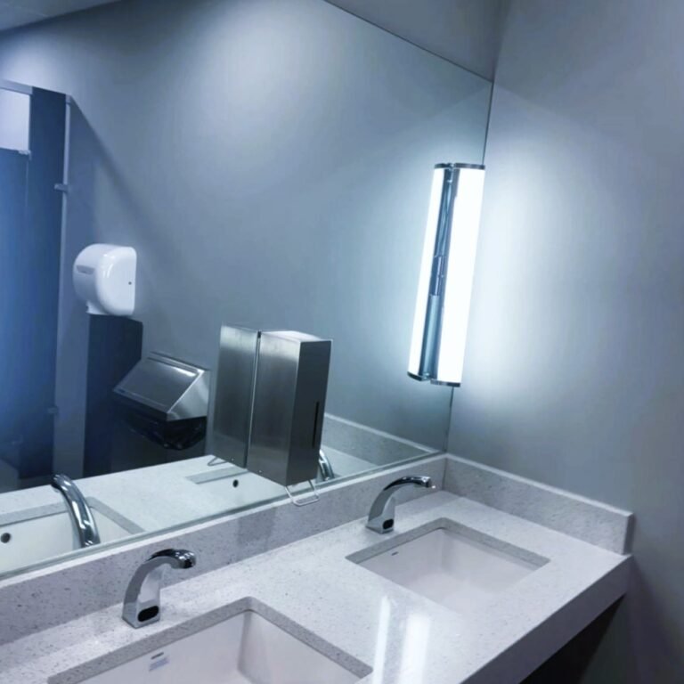 nettoyage_toilette_st_eu